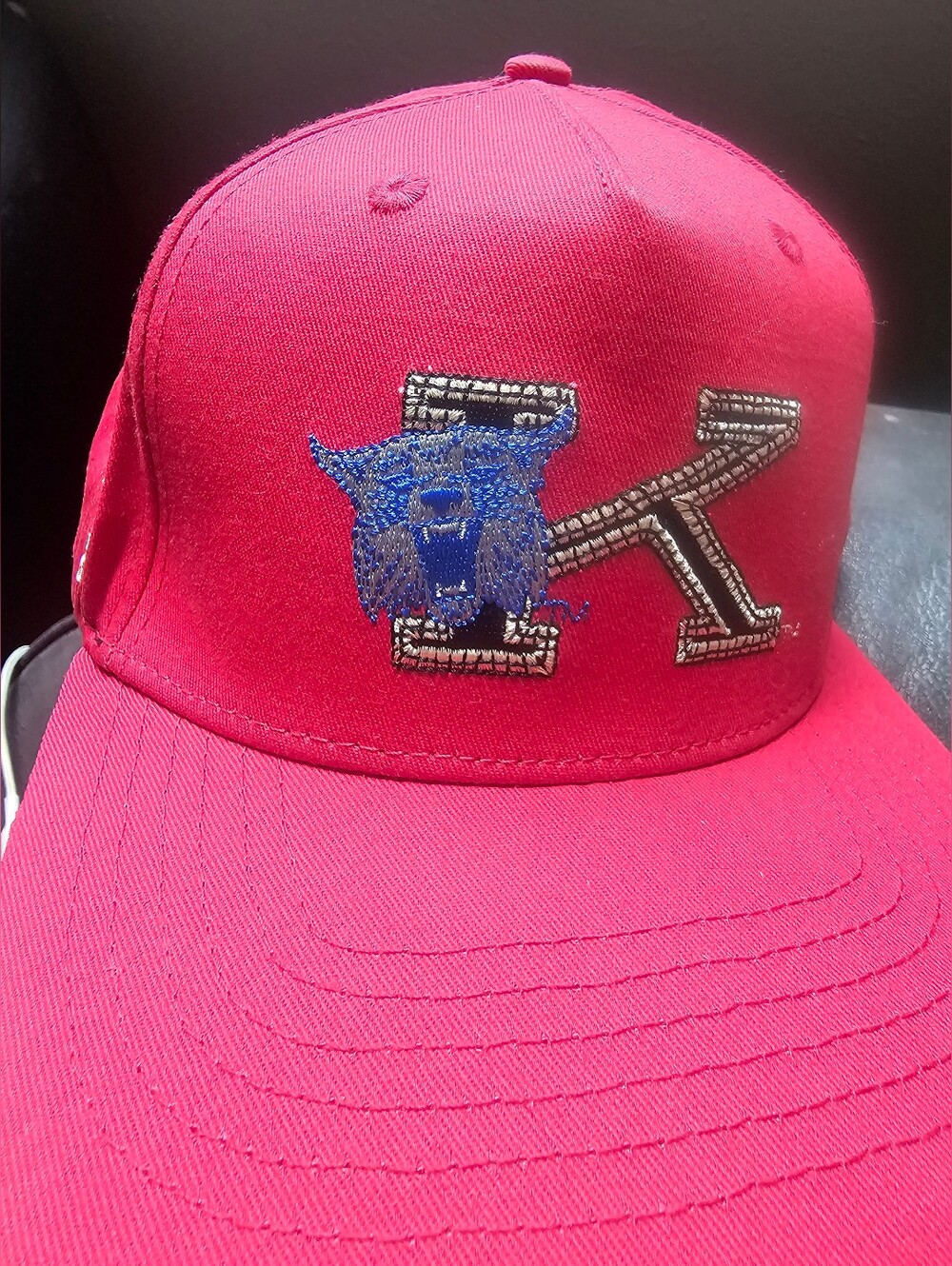 Mitchell & Ness Kids Hot Pink Cap with Blue Panther and Silver 'K' Patch
